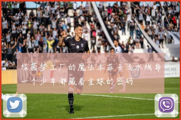 绿茵梦工厂的魔法本菲卡流水线每一个少年都藏着金球的密码