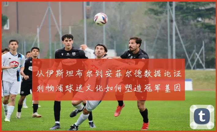 从伊斯坦布尔到安菲尔德数据论证利物浦球迷文化如何塑造冠军基因